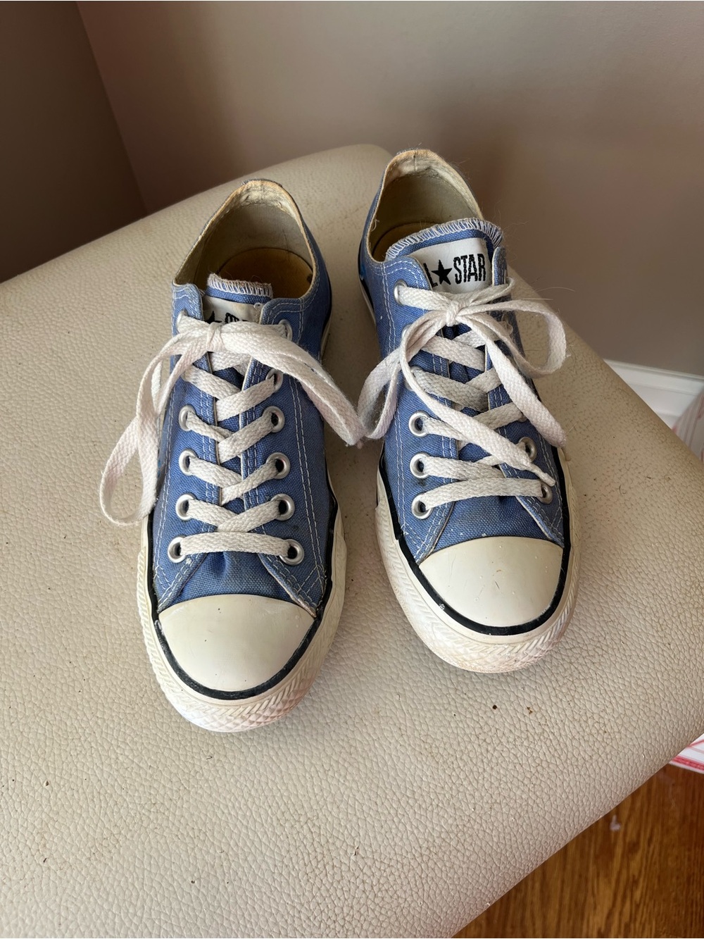 Converse Low-Top Canvas Sneakers in Light Blue